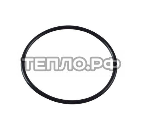 Прокладка-кольцо крышки автохлоратора Emaux CL-01 02080008